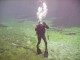 Thumbs/tn_Clear Lake 002.jpg